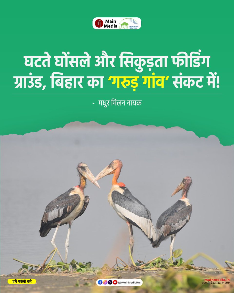 Main Media / मैं मीडिया tweet media