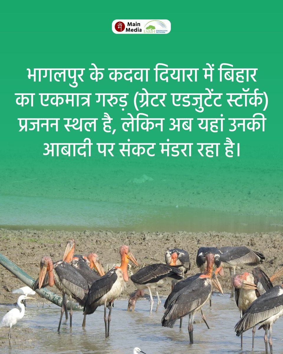 Main Media / मैं मीडिया tweet media