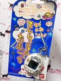 あま冥 tweet media