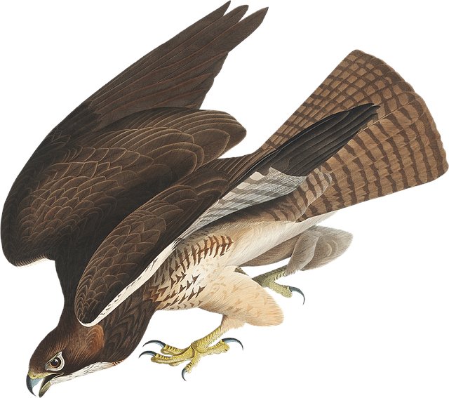 Tracy King tweet media