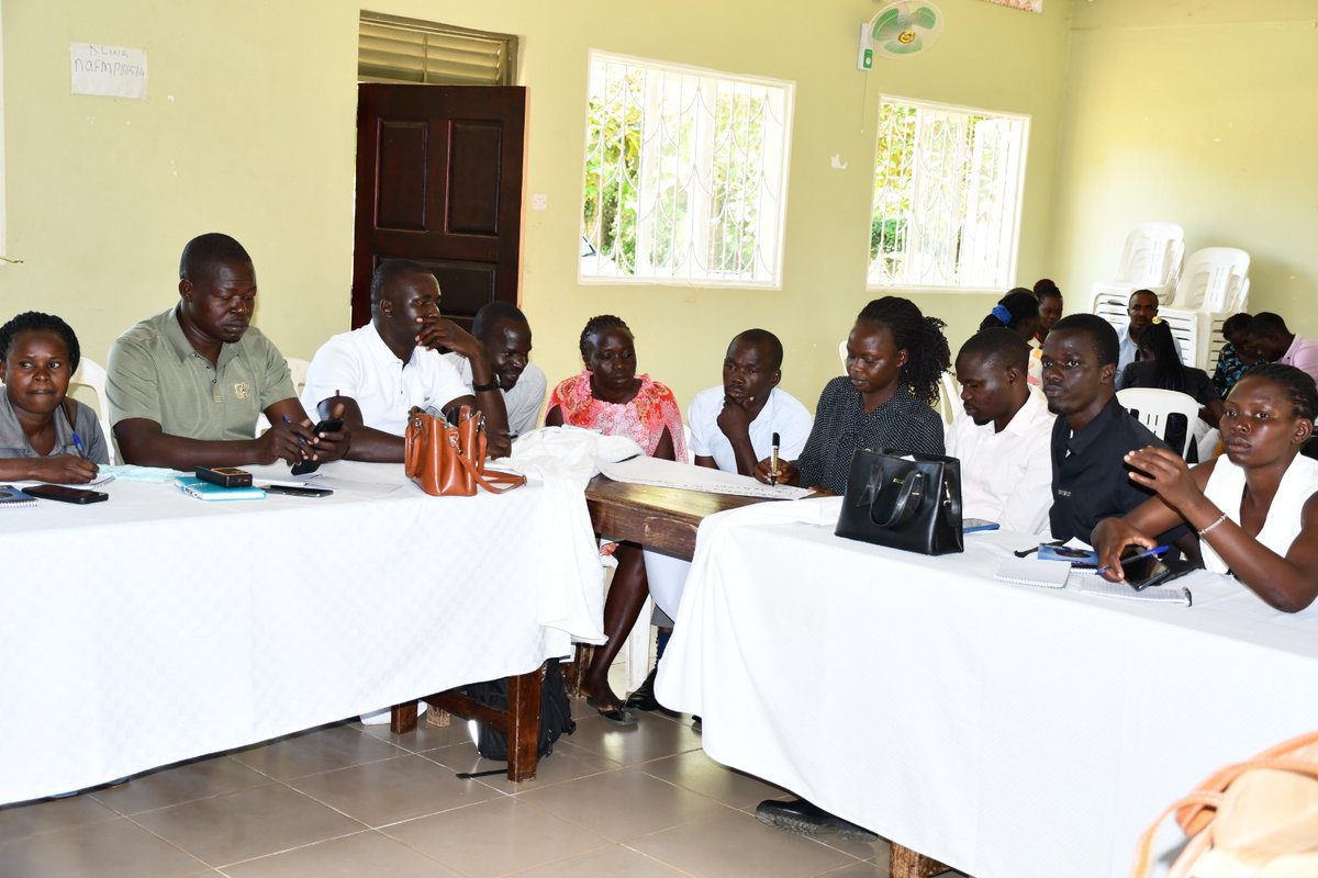 SOCADIDO tweet media