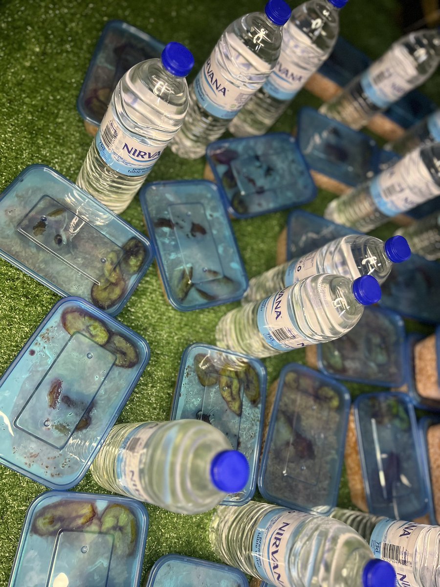 annys__kitchen's tweet photo. Ramadan is a time of giving 🤍
 Feeding people during Ramadan hits different 🤲Let’s keep spreading kindness❤️
  Grateful to help make moments like this happen. If you’d like to sponsor or share food too we can make it happen. 
          Ramadan Kareem 🌙✨ https://t.co/X3W5deL0jA