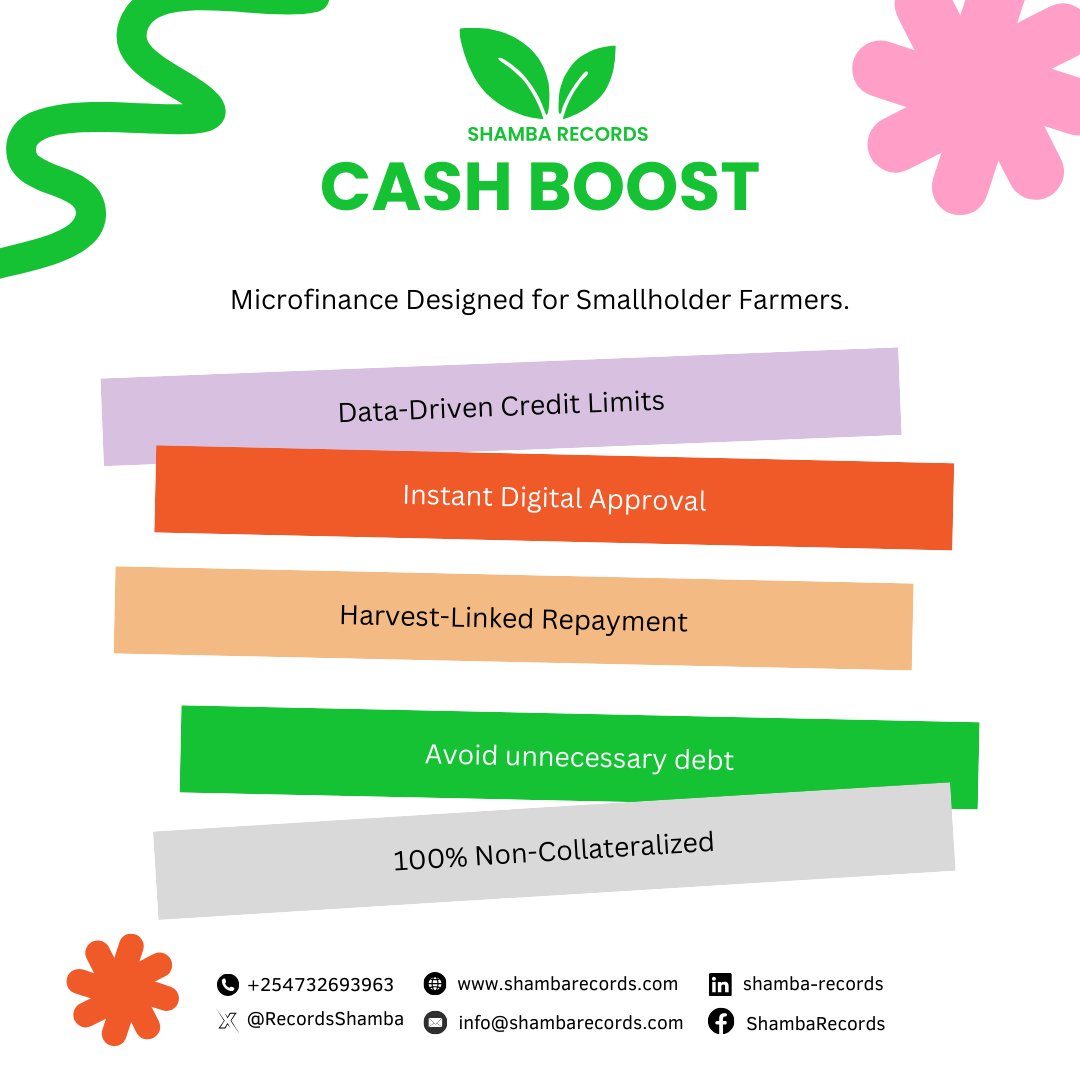 Shamba Records tweet media