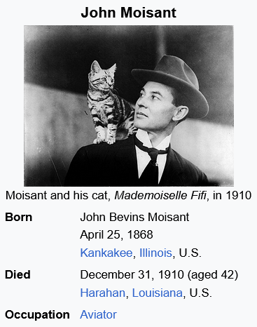 ArtDuggy's tweet photo. big fan of Mademoiselle Fifi https://t.co/9b5NmUVEnE