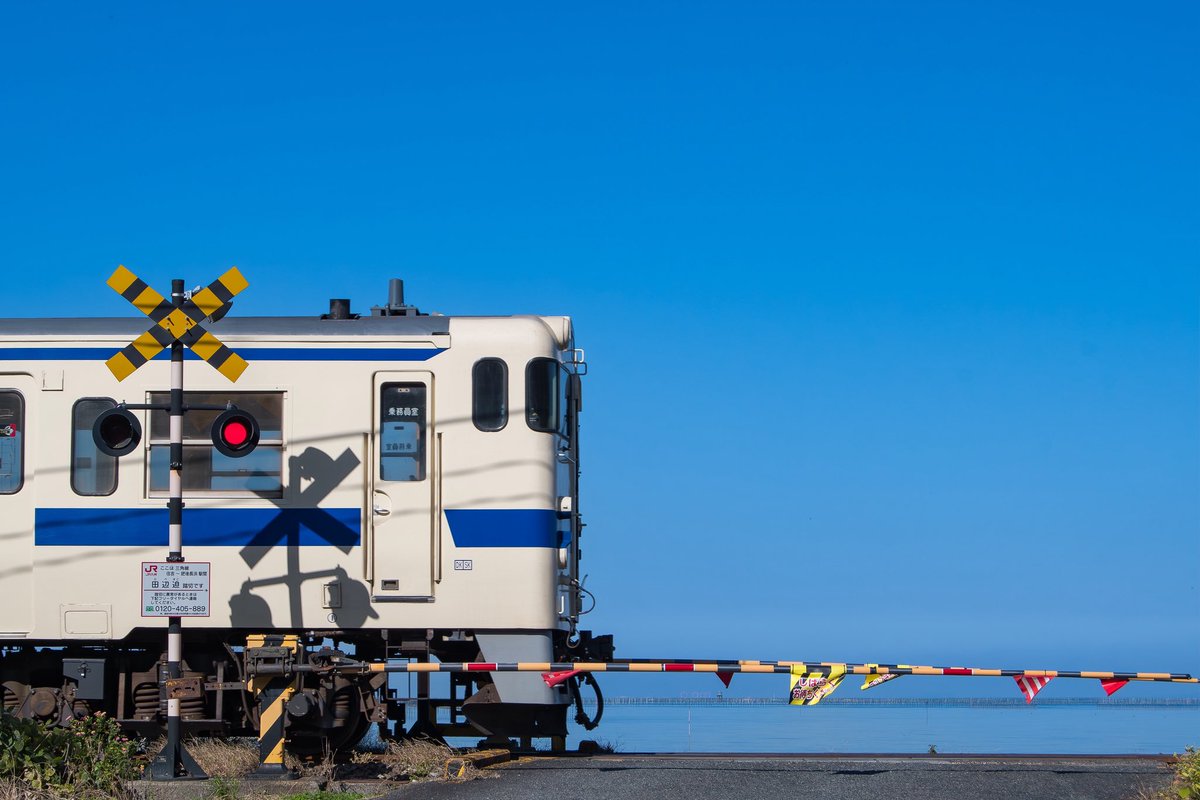 まおいち tweet media