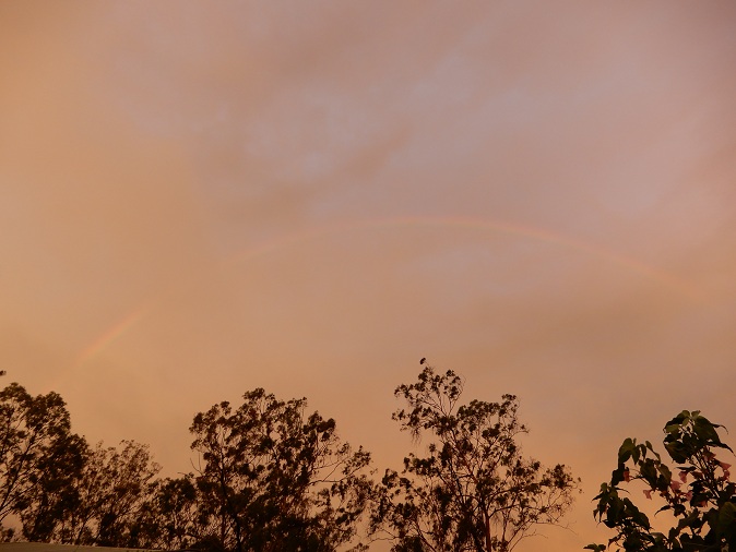 Manami.N tweet media