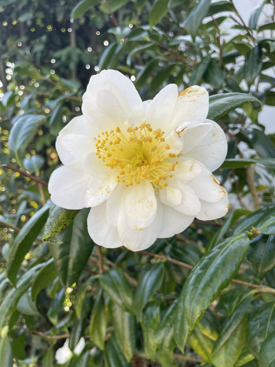 Stifyn Parri 🌈 tweet media