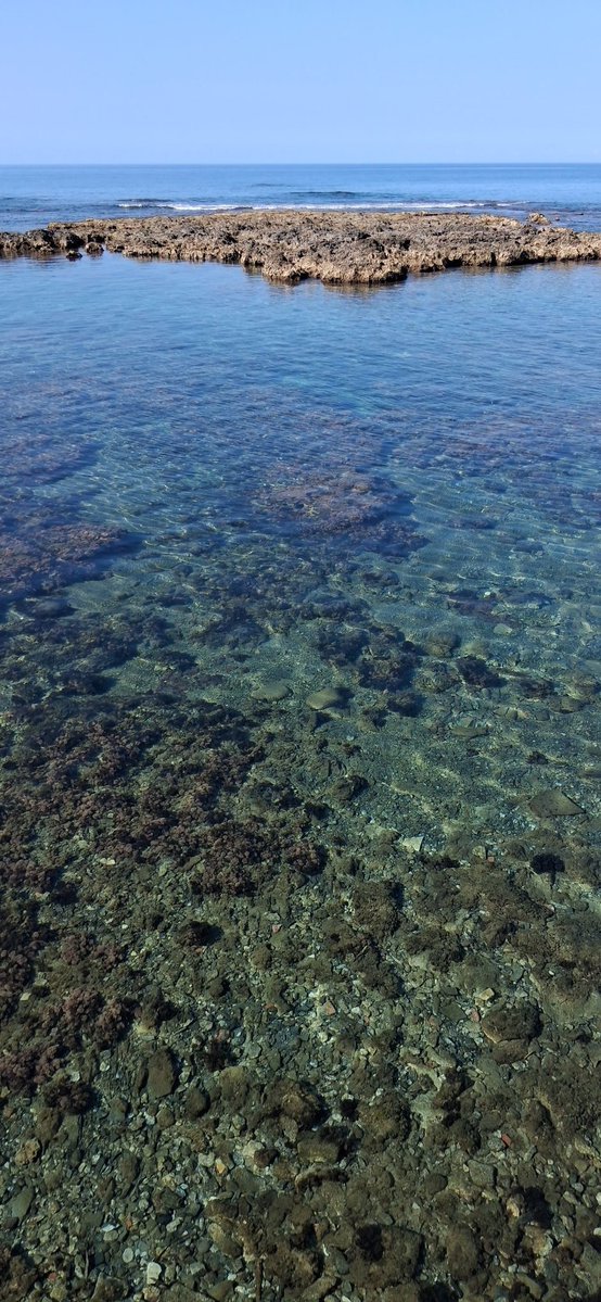 Buongiorno 💋❤️