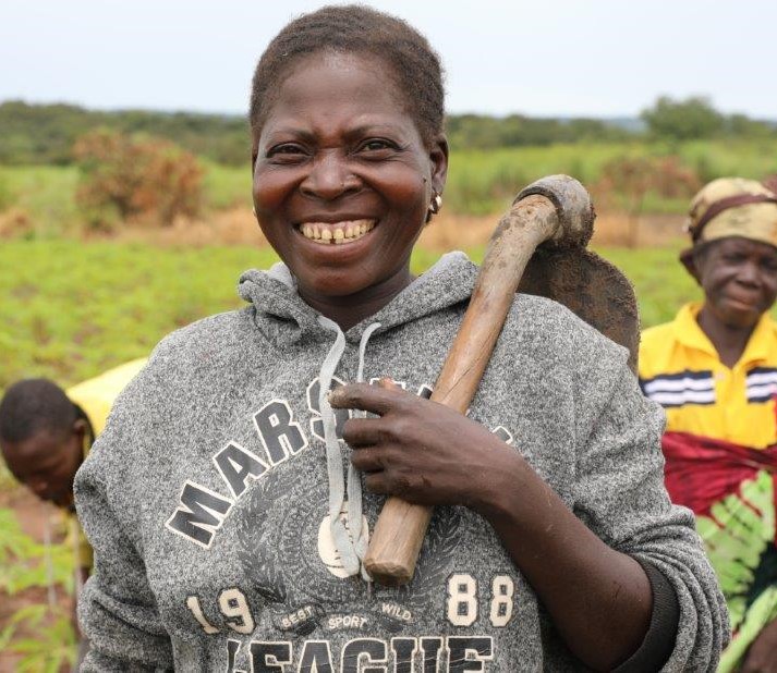 Mark Gordon tweet media