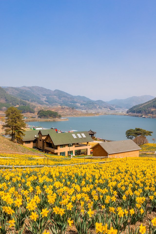 한국관광공사 :: 까우니의 대한민국 구석구석 tweet media