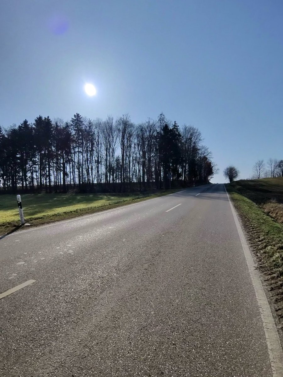 Sabine D. Brookman-May tweet media