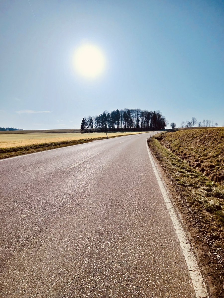 Sabine D. Brookman-May tweet media