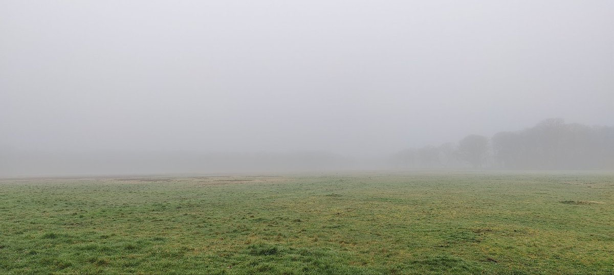 So it's a misty morning on:
A) Wimbledon a common
B) The Scottish Highlands?
maps.app.goo.gl/jof5TPiydA7Ayk…