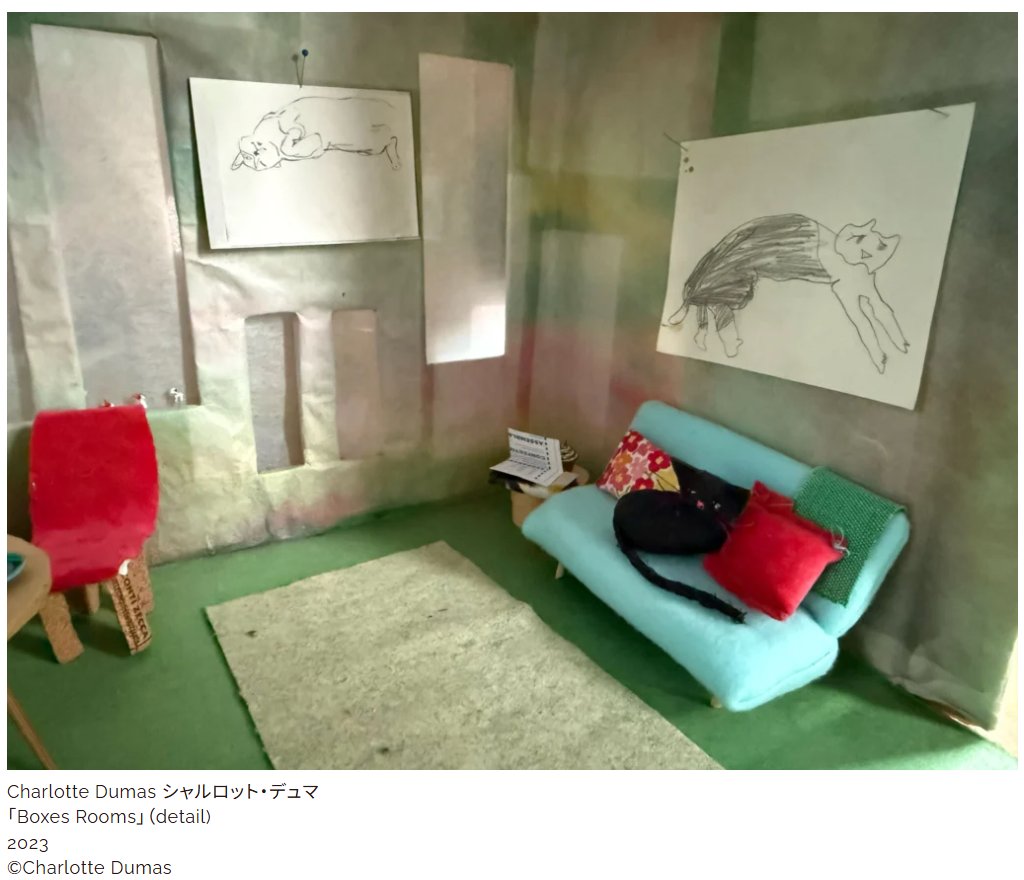 Embassy of the Kingdom of the Netherlands in Japan tweet media