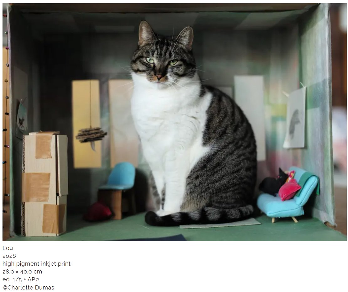 Embassy of the Kingdom of the Netherlands in Japan tweet media