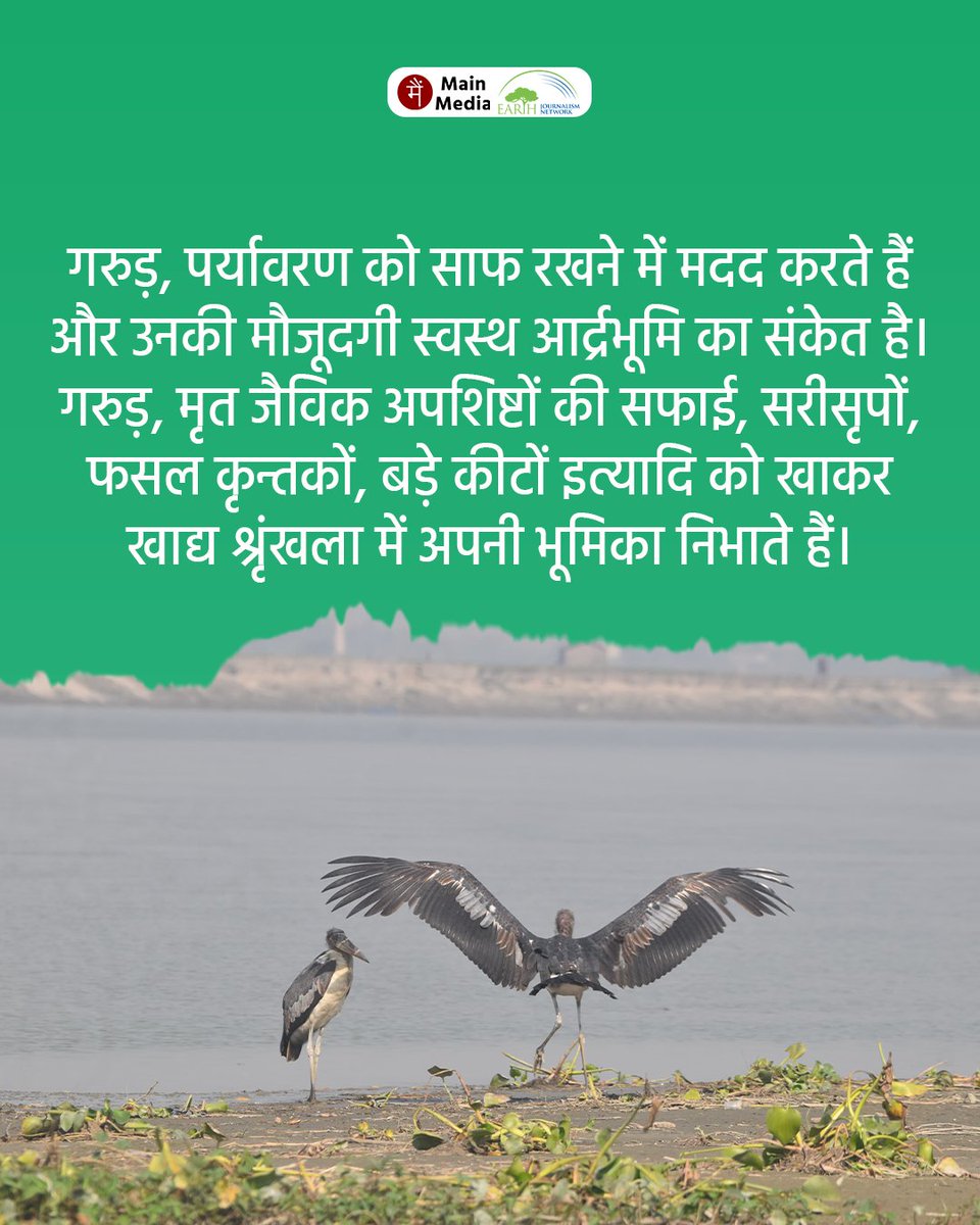 Main Media / मैं मीडिया tweet media