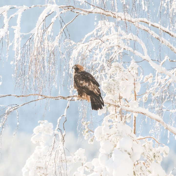 J.Johannes.M tweet media