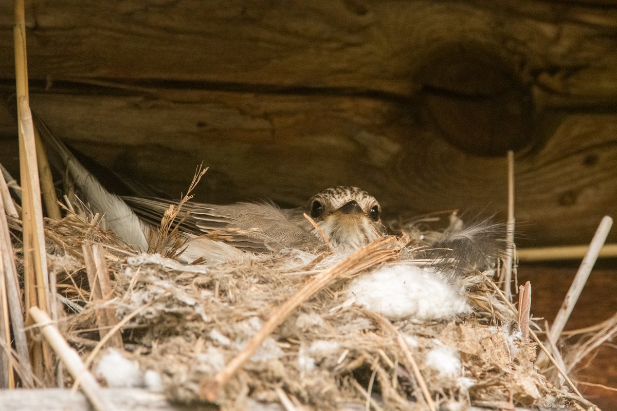 J.Johannes.M tweet media