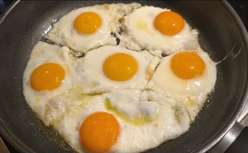 AfD Tradwife ✝️🖤❤🦋🔥❣️Gottes Kind tweet media