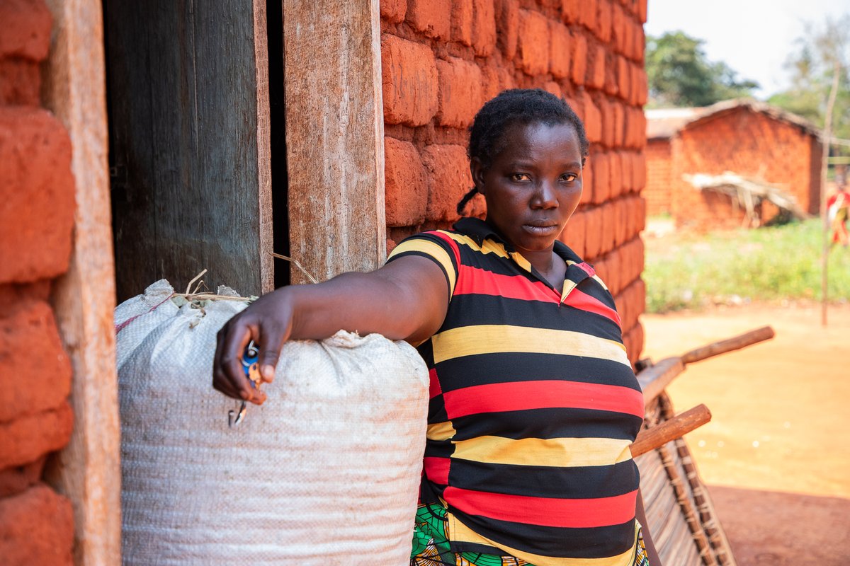 Mark Gordon tweet media