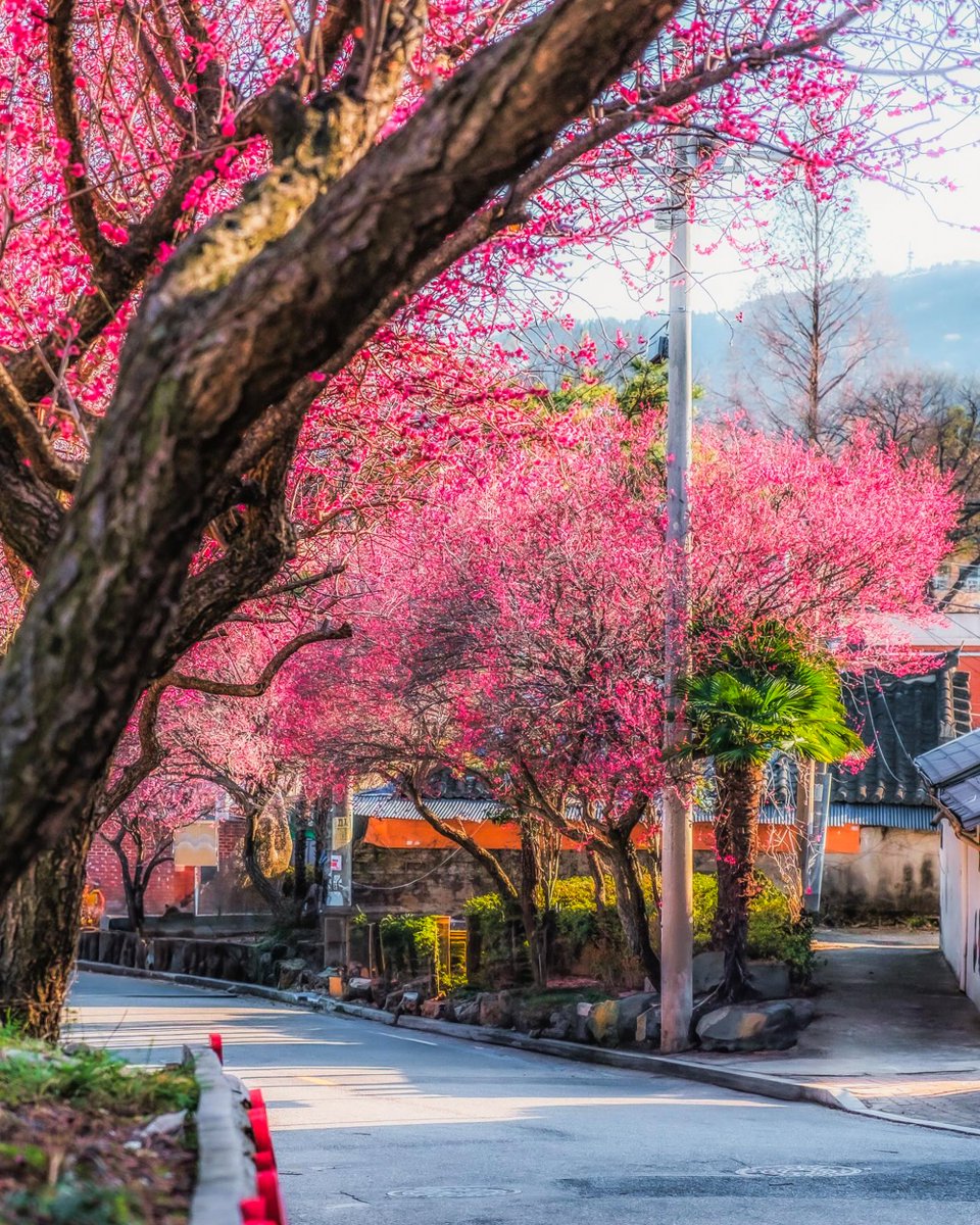 한국관광공사 :: 까우니의 대한민국 구석구석 tweet media