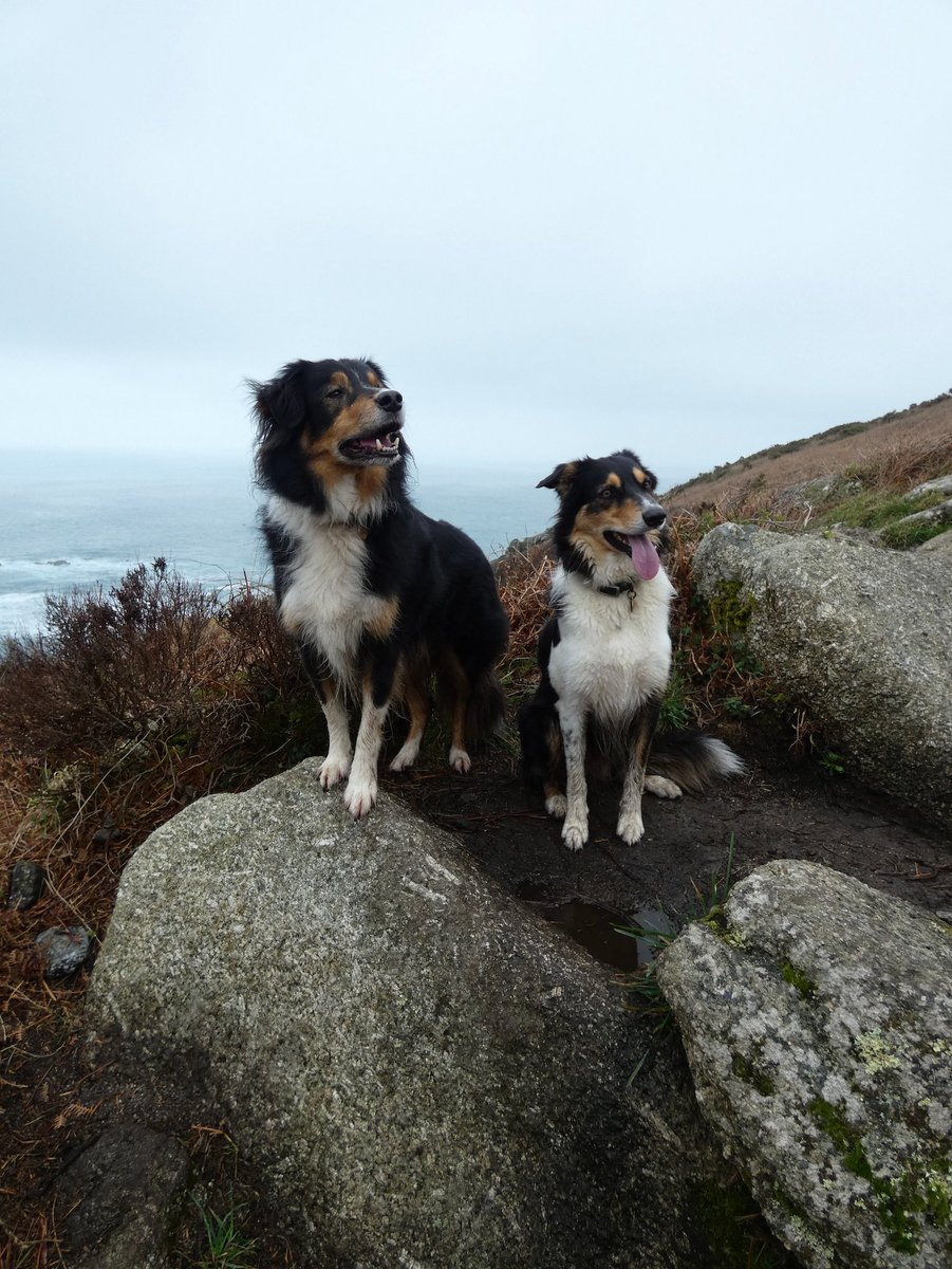 CliffsideKatie's tweet image. Misty few days. Pea soup on the cliffs #cliffside