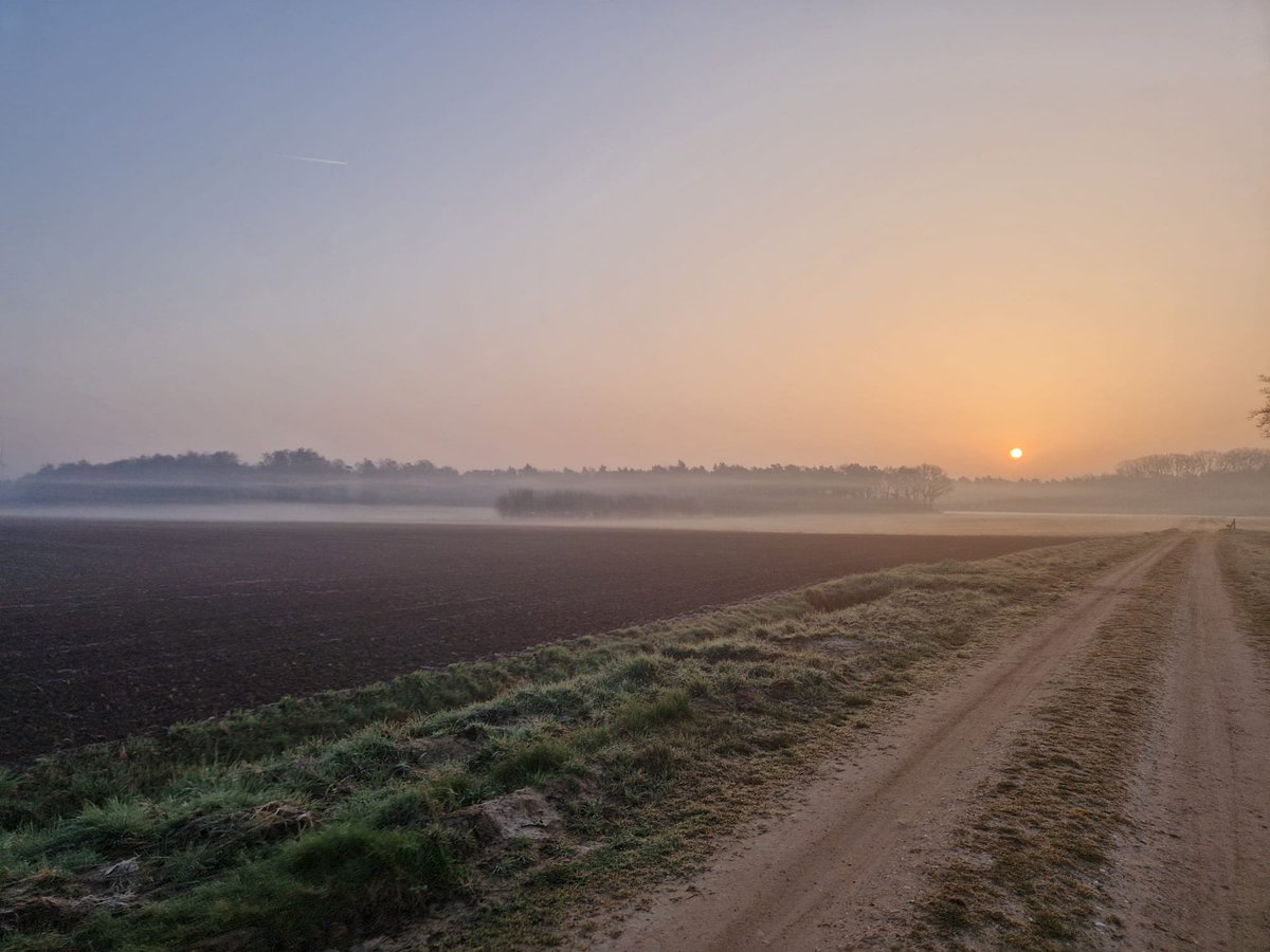 ottotromm's tweet photo. From my morning run - can't ask for a better start of the day https://t.co/6sYDk9QRtK