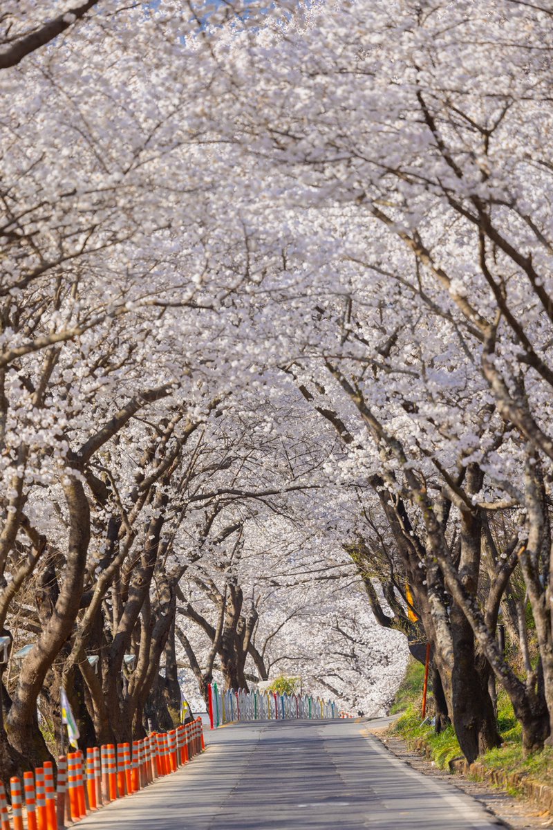 한국관광공사 :: 까우니의 대한민국 구석구석 tweet media