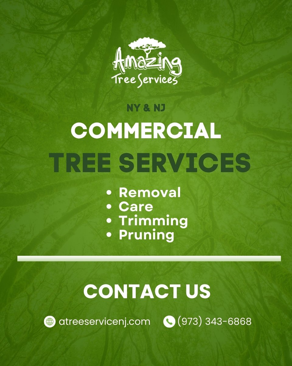 Commercial Tree Service in Morris County, NJ

Amazing Tree Services offers reliable commercial tree service for offices, retail centers, and commercial properties. Learn more: atreeservicenj.com/tree-service-c…

#treeservice #commercialtreeservice #treeremoval #treemaintenance