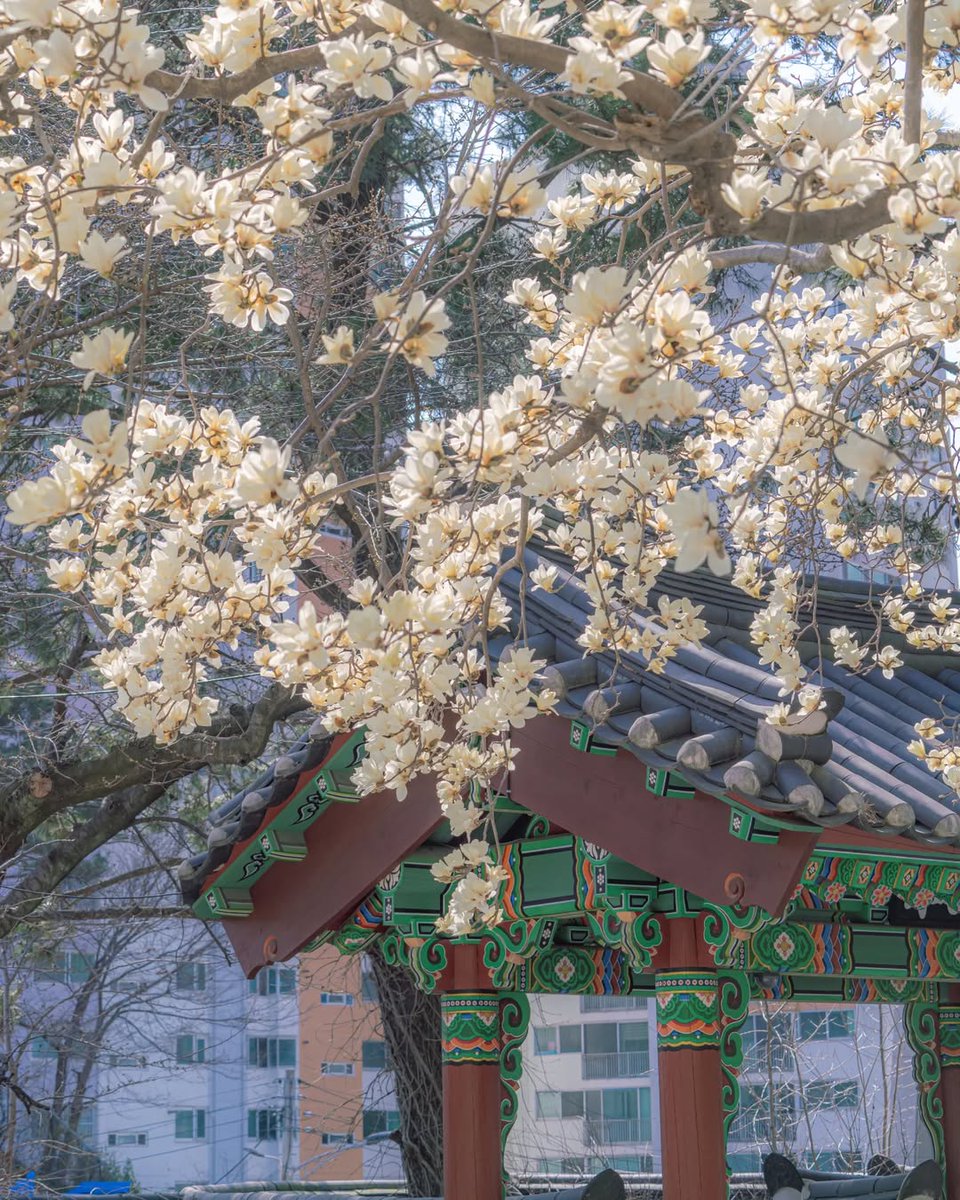 한국관광공사 :: 까우니의 대한민국 구석구석 tweet media