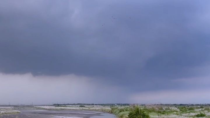 Thomas Starrett tweet media