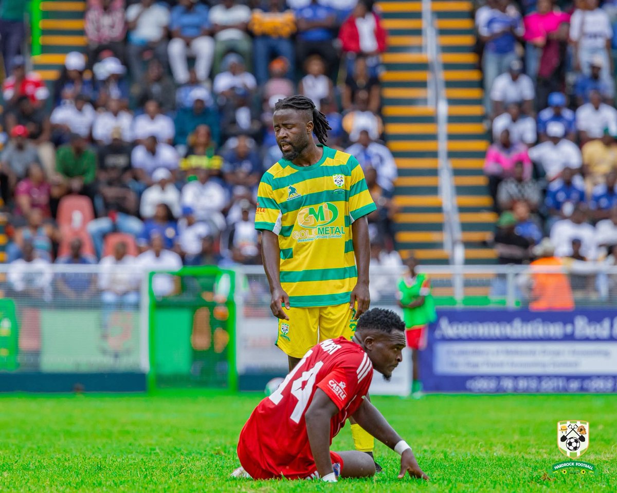 King Zebra263 tweet media