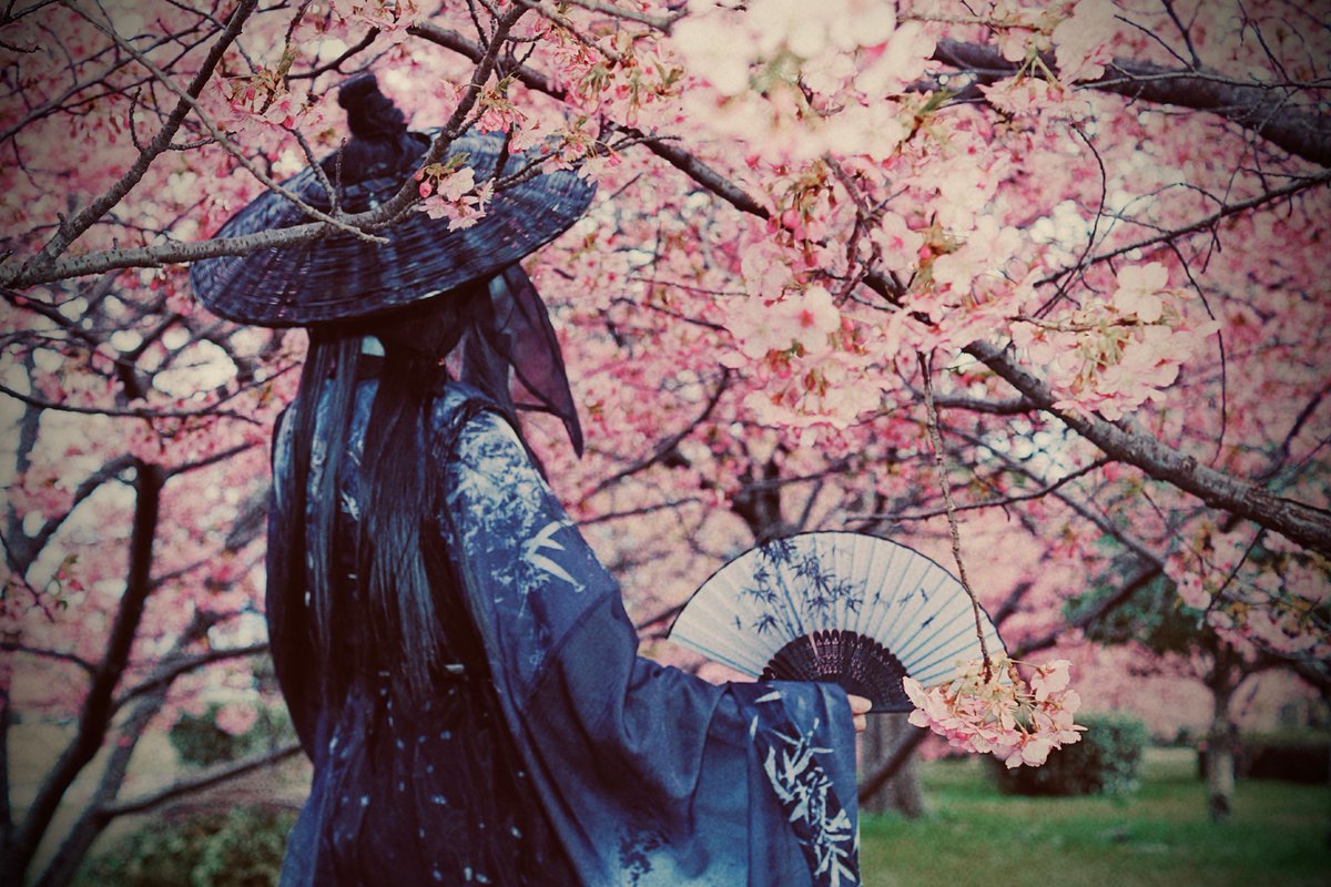 咲@改名しました(芋) tweet media