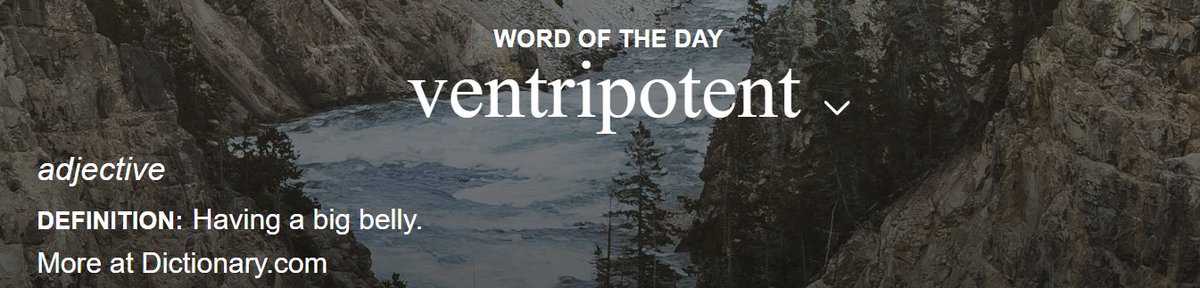 🪿.ᐟ tweet media