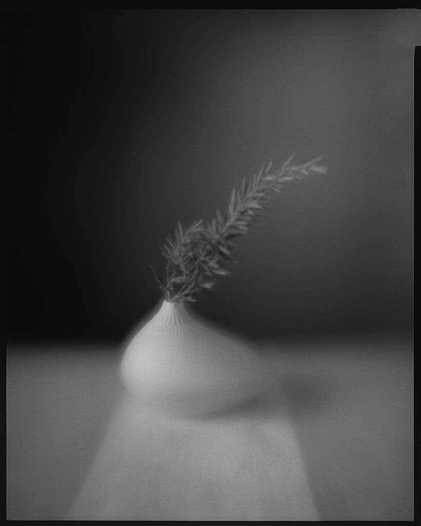 satotheshooter's tweet photo. 100年以上前の単玉集光レンズで撮った。マウントは自作。
Kodak View Camera No.2-D 8x10 / Homemade Single Element Lens (1910s Bausch & Lomb Convex Lens 120mm f1.6) / Kodak Portra Endura Color Paper (Fuji SPD)
#papernegative
#largeformatphotography
#8x10 https://t.co/RujoqCNtQf