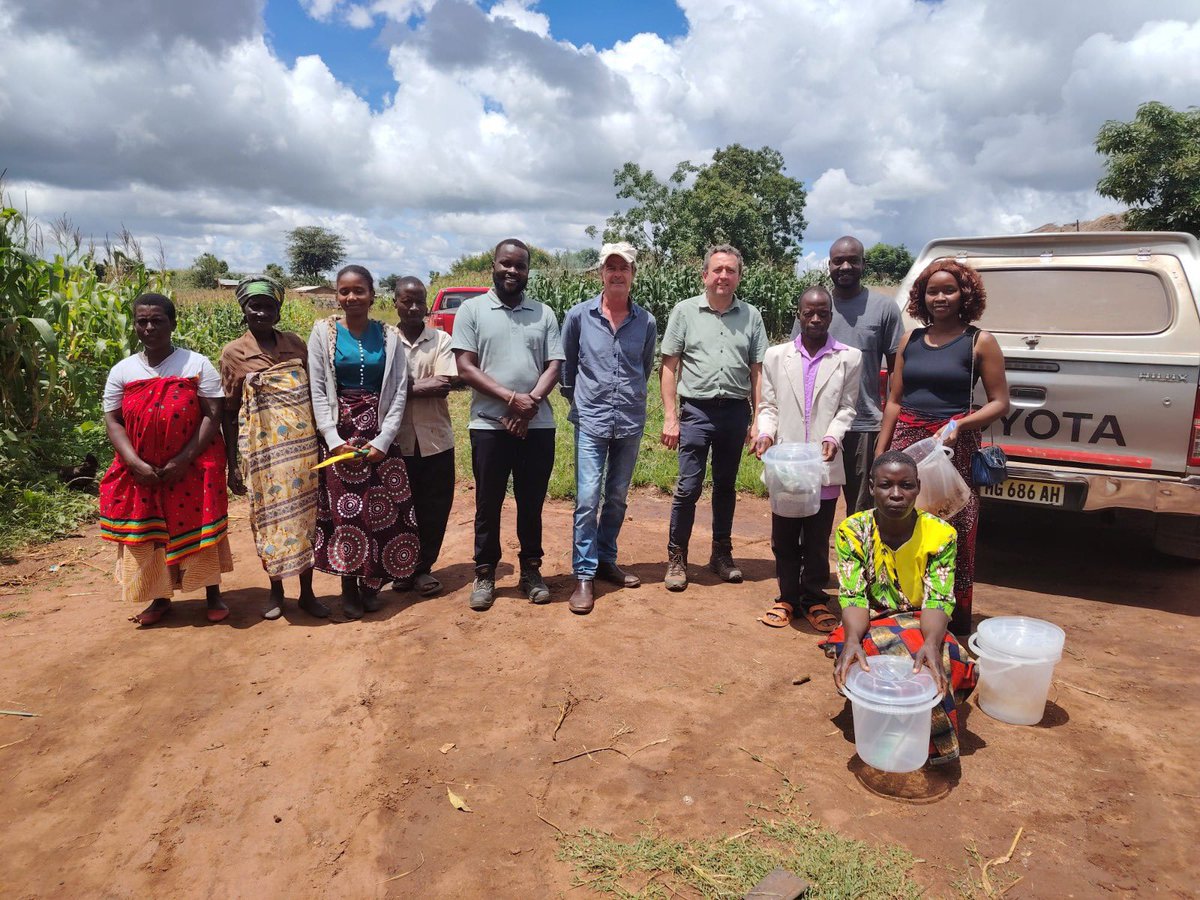 NemAfrica tweet media