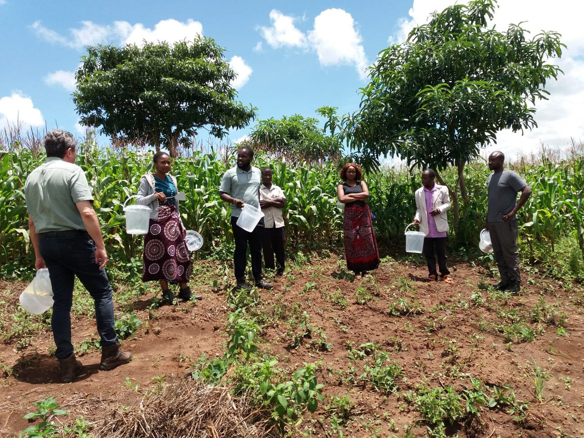 NemAfrica tweet media