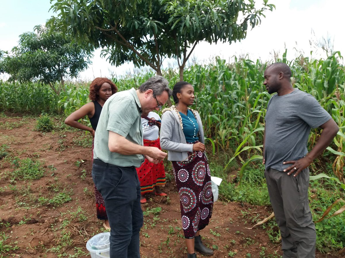 NemAfrica tweet media