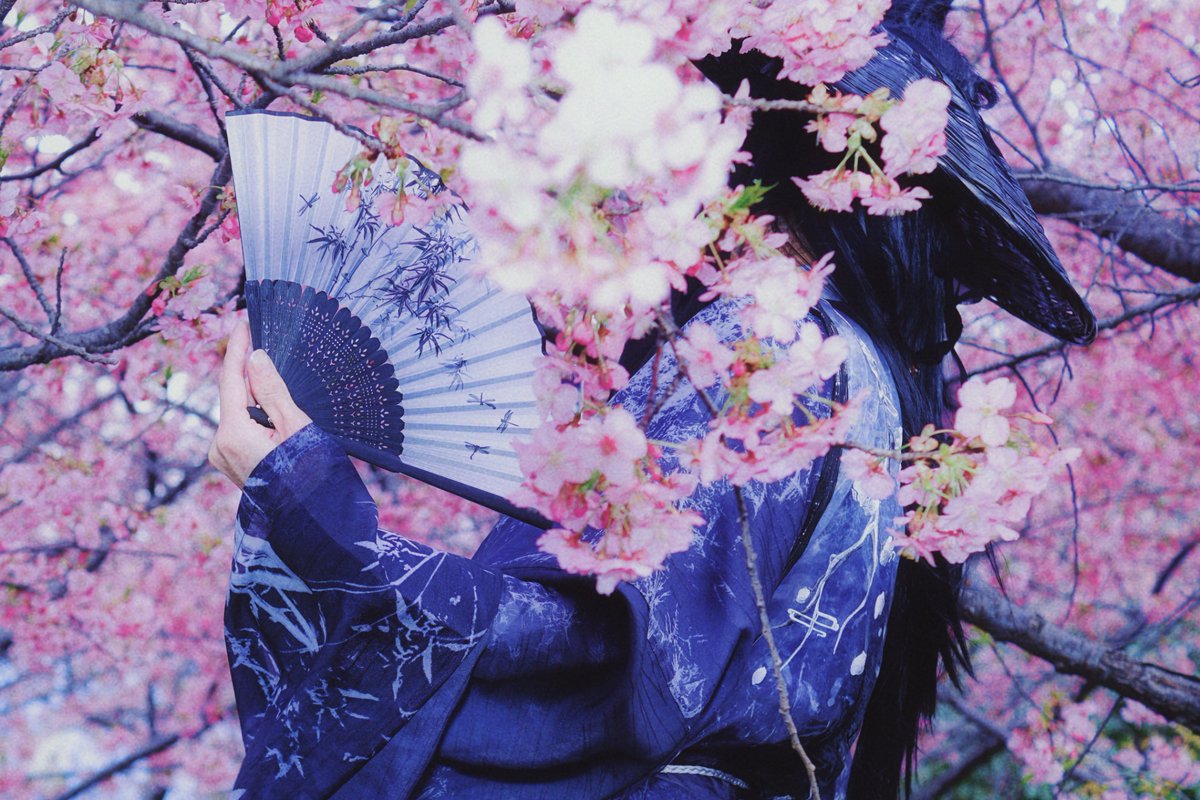 咲@改名しました(芋) tweet media