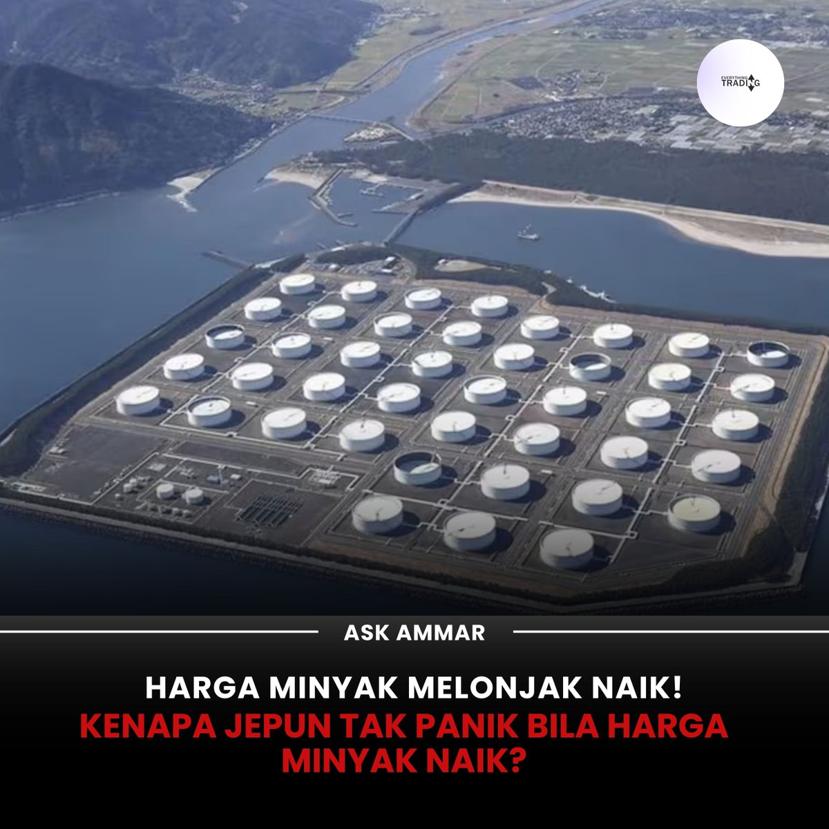 Ask Ammar tweet media