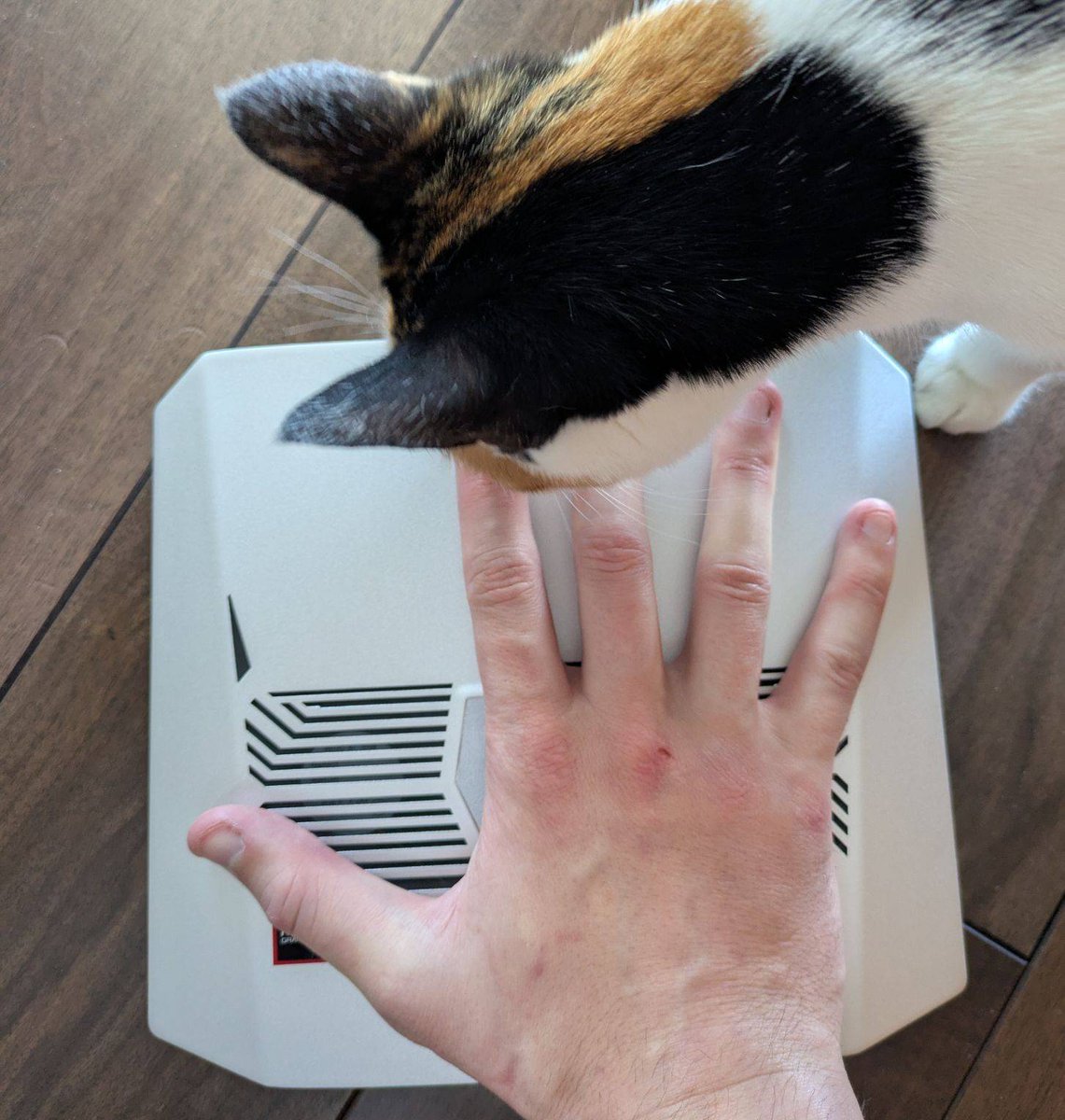 Volodymyr Stoiko tweet media