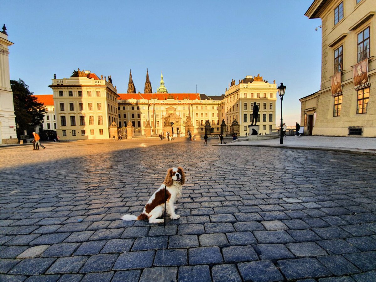 RJonTourUK's tweet image. Prague, the capital of the Czech Republic, is a great destination for a city break, as there are lots of places to visit. 

rjontour.com/prague/ #prague #CzechRepublic #travels