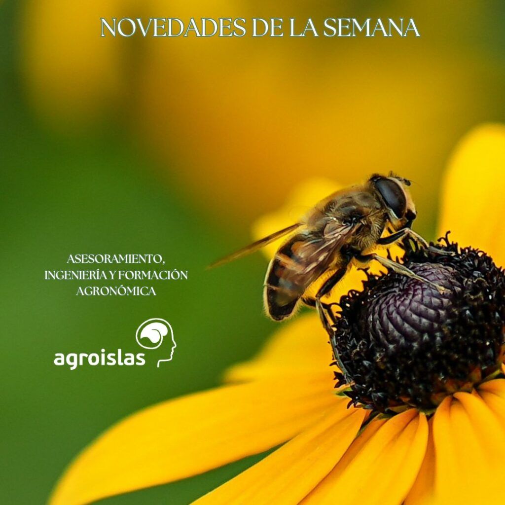 agroislas's tweet photo. New Post: NOTICIAS AGROISLAS: FORMACIÓN E INNOVACIÓN https://t.co/tmRkeD1YpX https://t.co/JhDjnonEx5