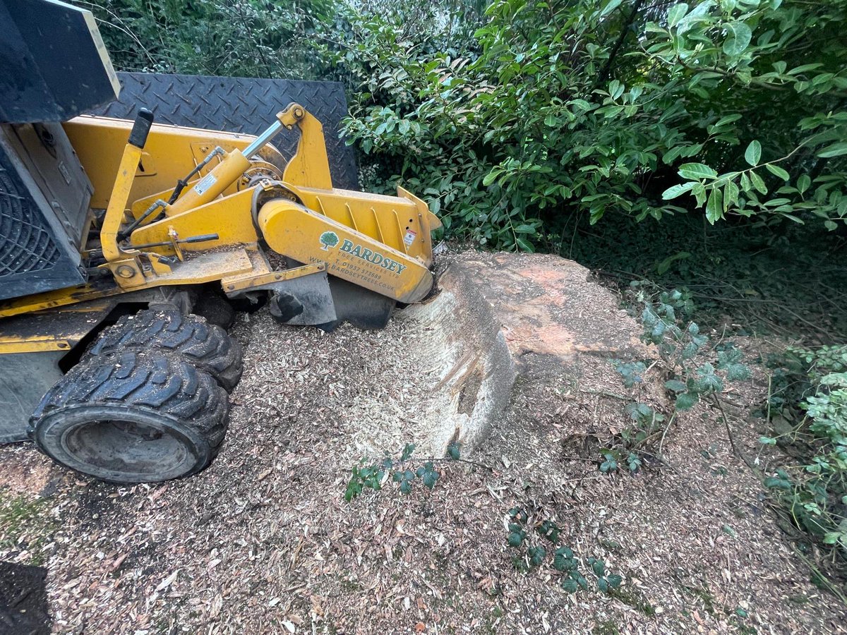 Bardsey Tree Services tweet media