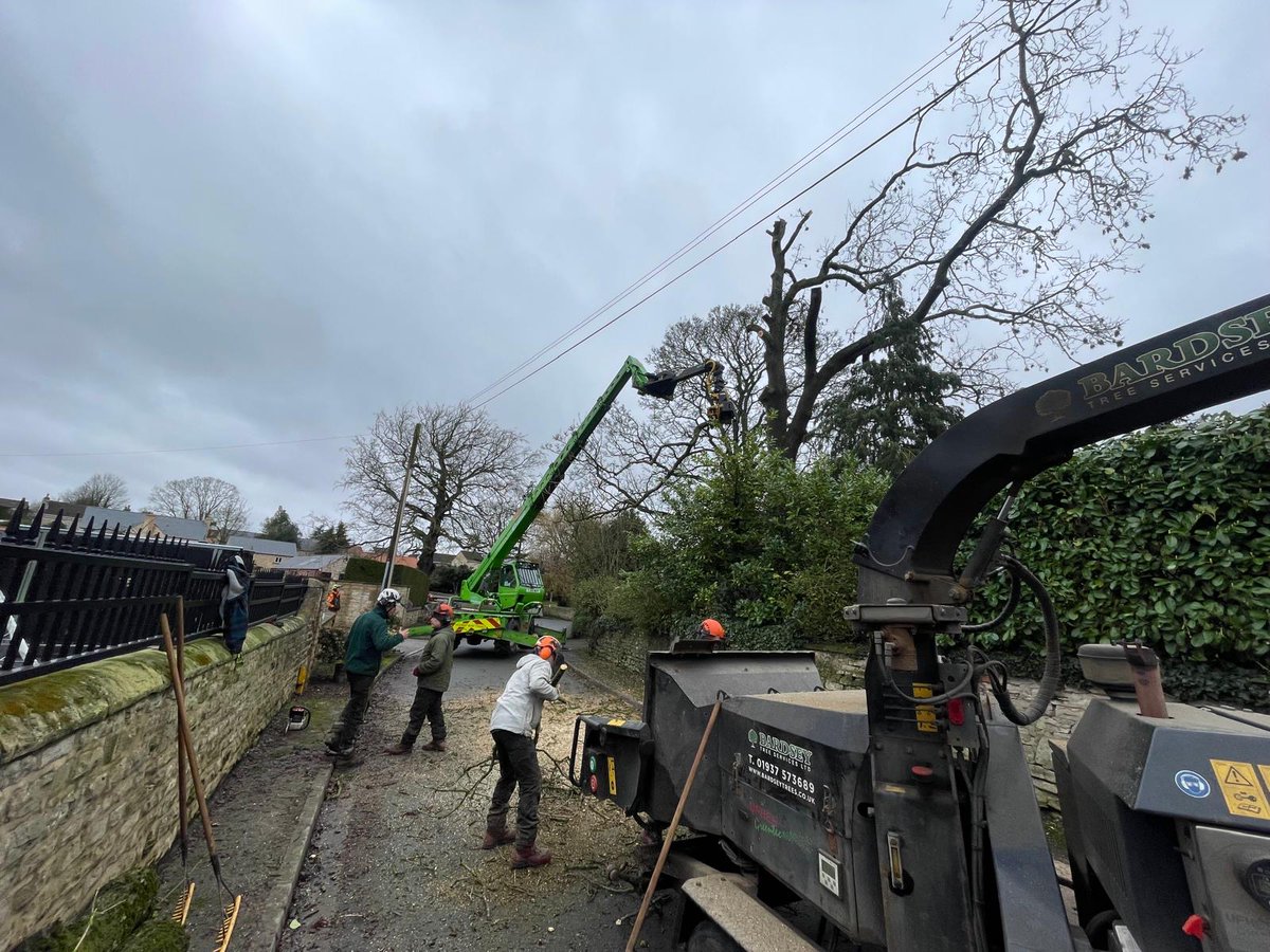 Bardsey Tree Services tweet media
