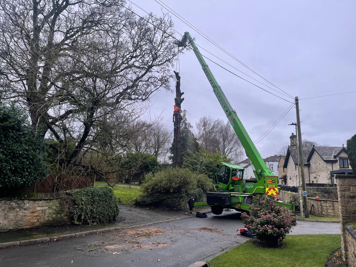 Bardsey Tree Services tweet media