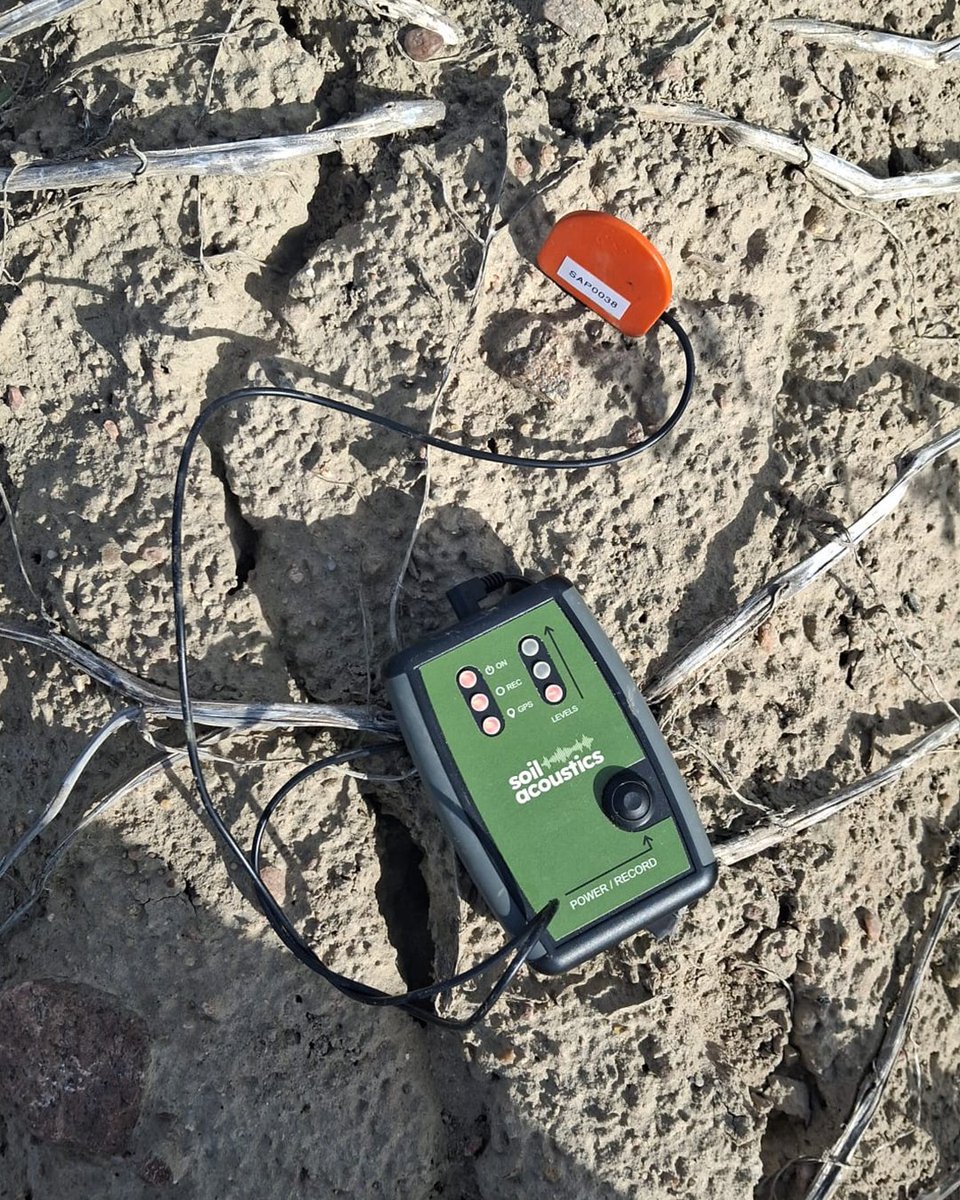 Soil Acoustics Ltd. tweet media