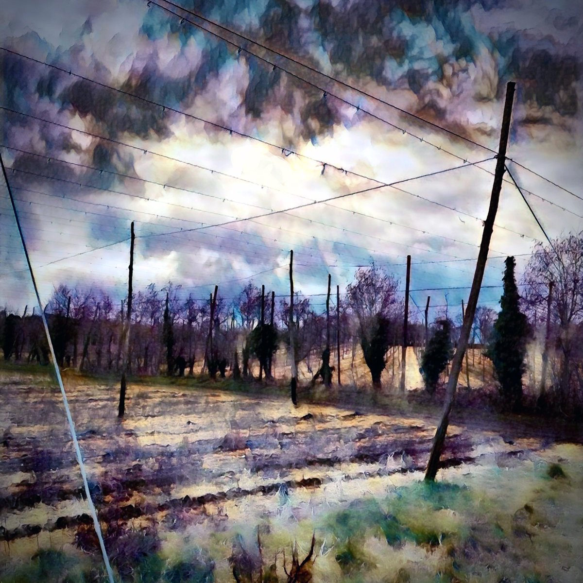 RuthMcDonald1's tweet image. will the mist clear it could be a good day to walk round the countryside in Kent &amp;amp; see the hop fields maybe glowing in the sun - a countryside walk is good for the soul #countrywalk #pattern #hops #hopfield #artwork #painting #paintingnature #art #mondaythoughts #MondayMotivaton