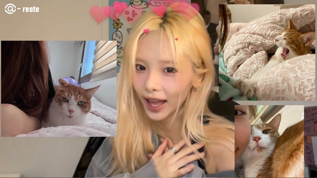 Off_the_QE tweet media