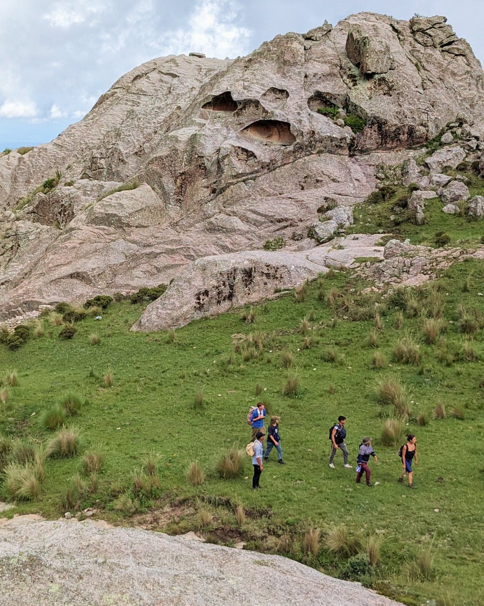 Tree-Nation tweet media